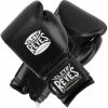 Cleto Reyes Hook And Loop Closure Training Gloves